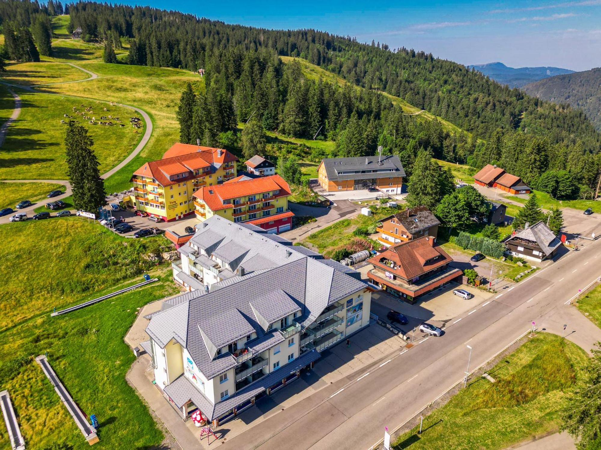 Feldberg Domizil - Residenz Grafenmatt Apartamento Rinken Exterior foto